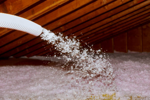 Best Insulation Materials and Products in Lake Odessa, MI