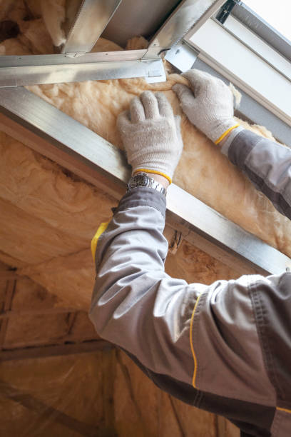 Best Types of Insulation in Lake Odessa, MI