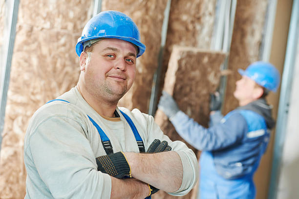 Best Insulation Installation Services in Lake Odessa, MI